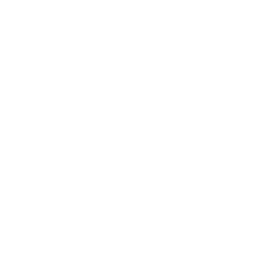 ce logo San Buenaventura